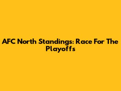AFC North Standings: Race For The Playoffs