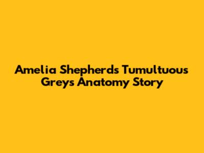 Amelia Shepherd's Tumultuous Grey's Anatomy Story